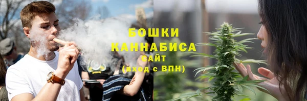дмт Протвино