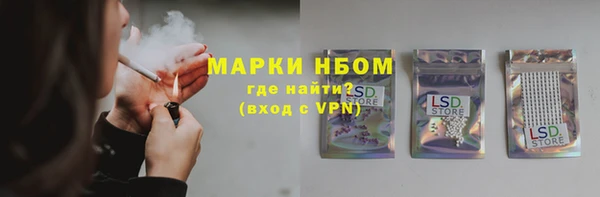 дмт Протвино