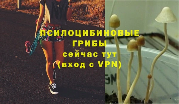 гашиш Пролетарск