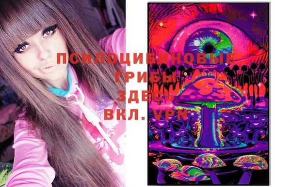 дмт Протвино